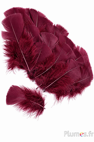 Kalkoen - 6-8 cm - bordeaux